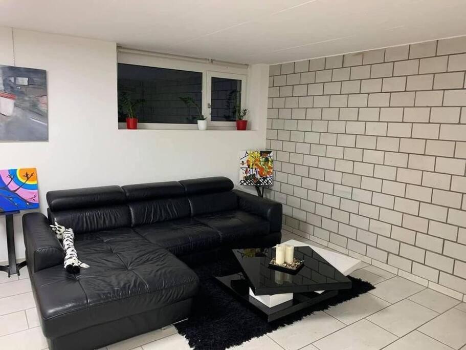 Basel - 5 Mins Away - Modern Basement Studio With Kitchen 35M2 In Муттенц Экстерьер фото